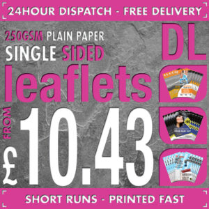 100 DL Flyers / Leaflets - Full Colour - SINGLE SIDED - 24hr Dispatch - 250gsm Plain