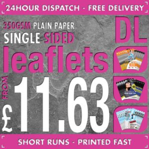500 DL Flyers / Leaflets - Full Colour - SINGLE SIDED - 24hr Dispatch - 350gsm Plain